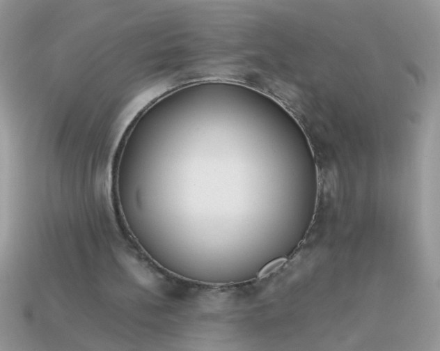 X0000113040148200909101925