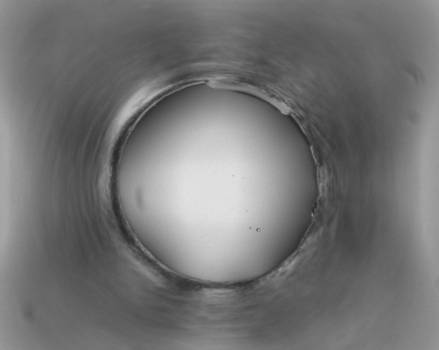 X0000113040150200909101925