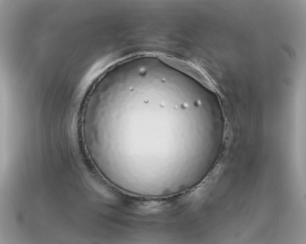 X0000113040151200909101925