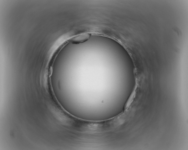 X0000113040152200909101925