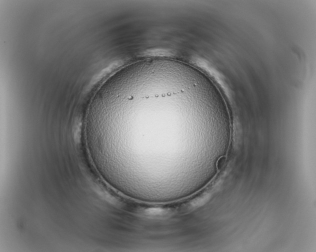 X0000113040153200909101925