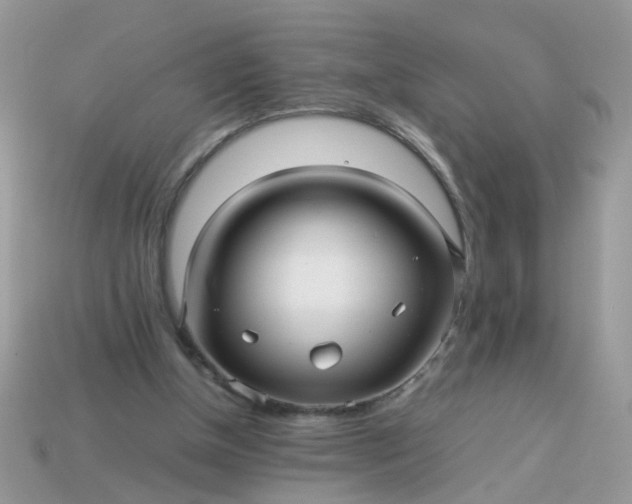 X0000113040154200909101925