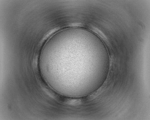 X0000113040155200909101925