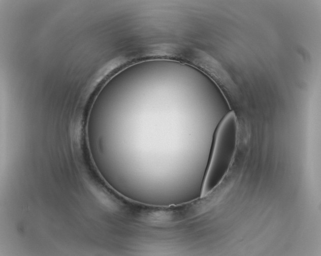 X0000113040156200909101925