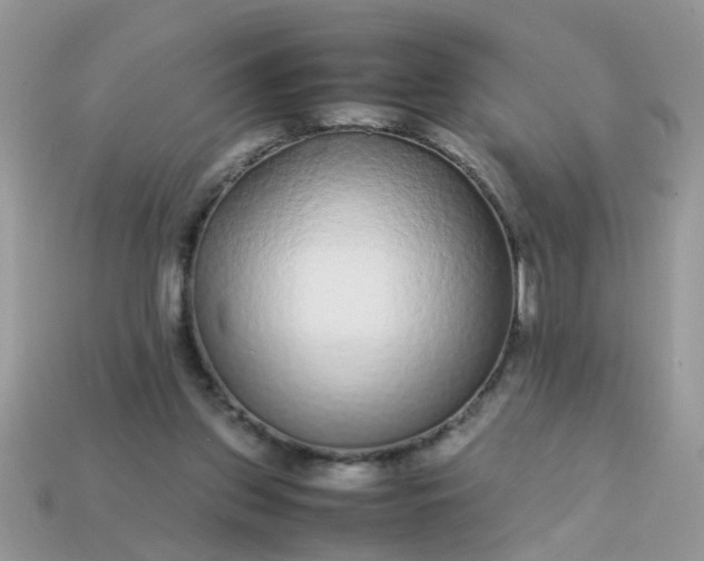 X0000113040157200909101925