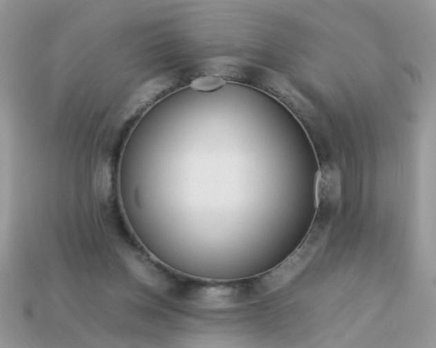 X0000113040158200909101925
