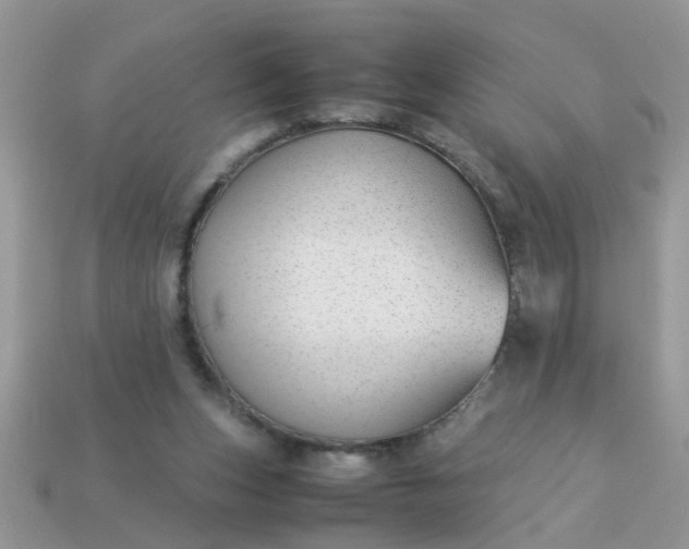 X0000113040159200909101925