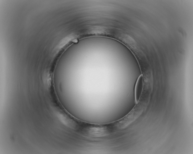 X0000113040160200909101925