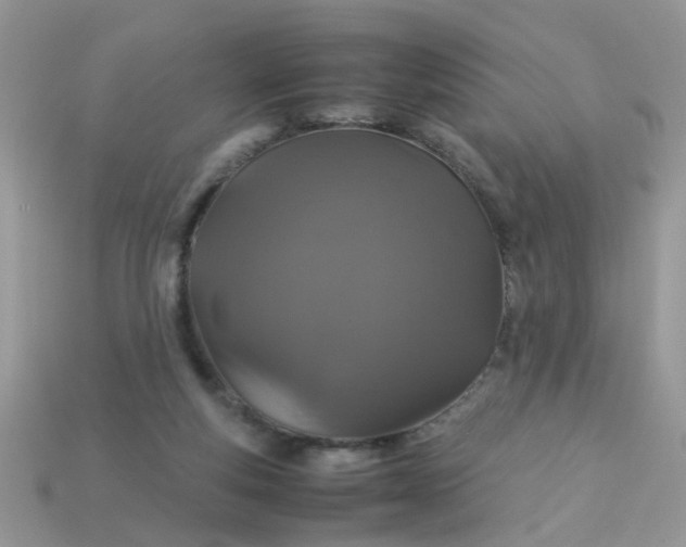 X0000113040163200909101925