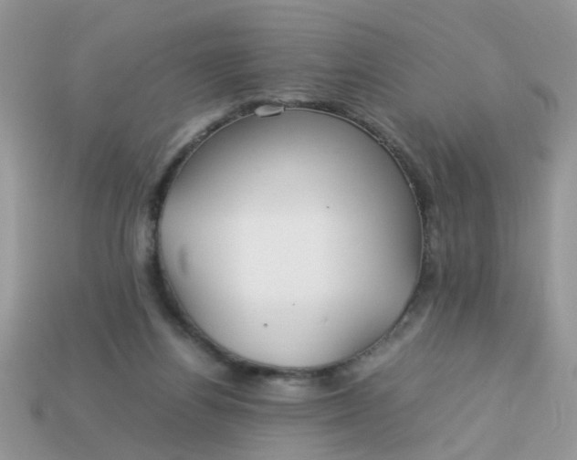 X0000113040164200909101925