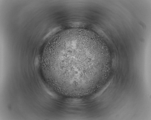 X0000113040165200909101925