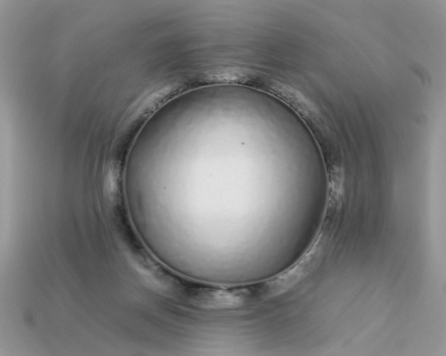 X0000113040166200909101925