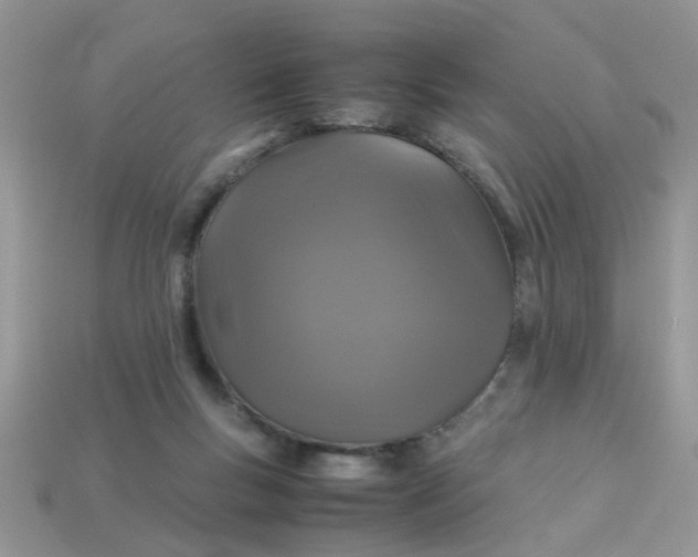 X0000113040167200909101925