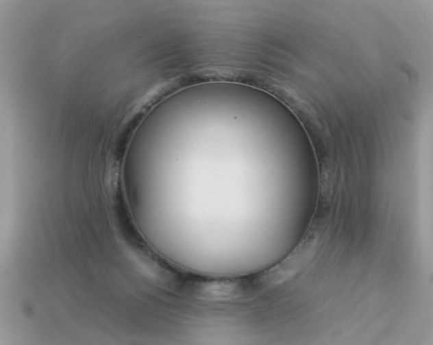 X0000113040168200909101925