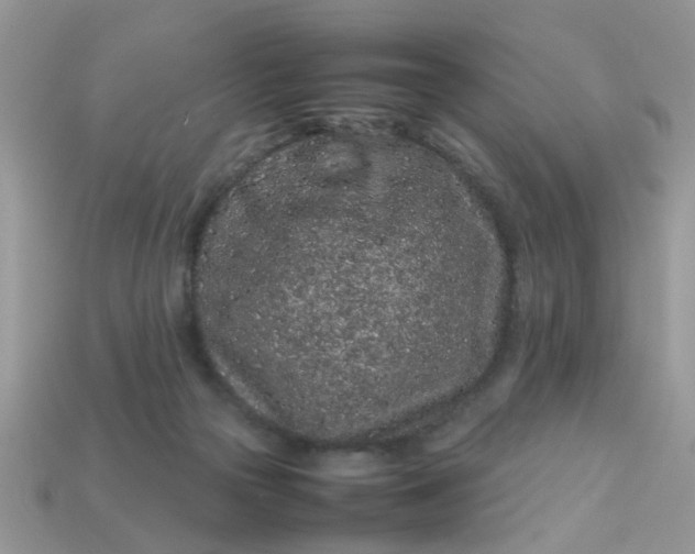 X0000113040169200909101925