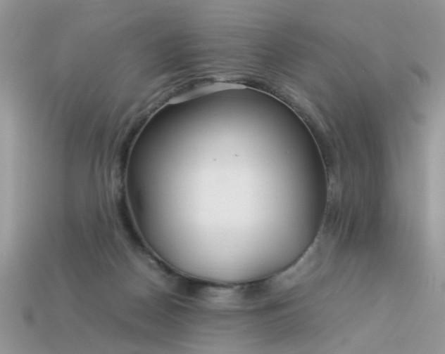 X0000113040170200909101925