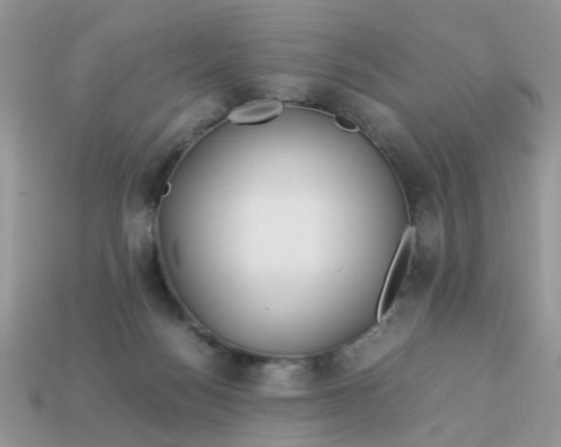 X0000113040172200909101925