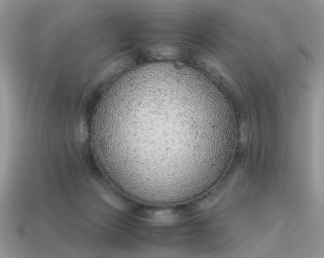 X0000113040173200909101926