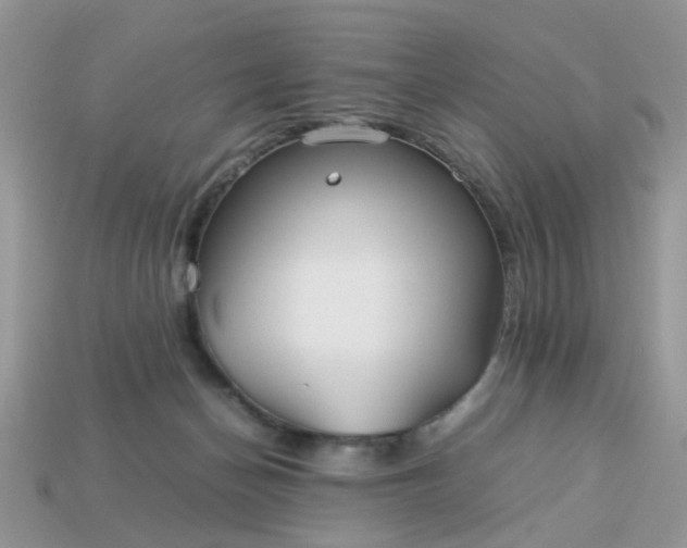 X0000113040174200909101926