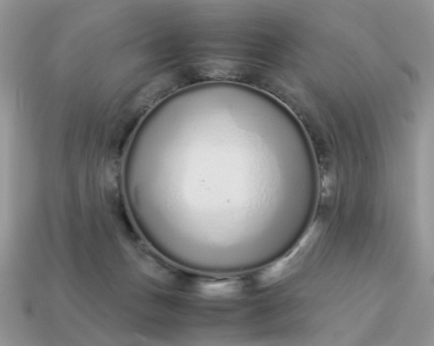 X0000113040175200909101926