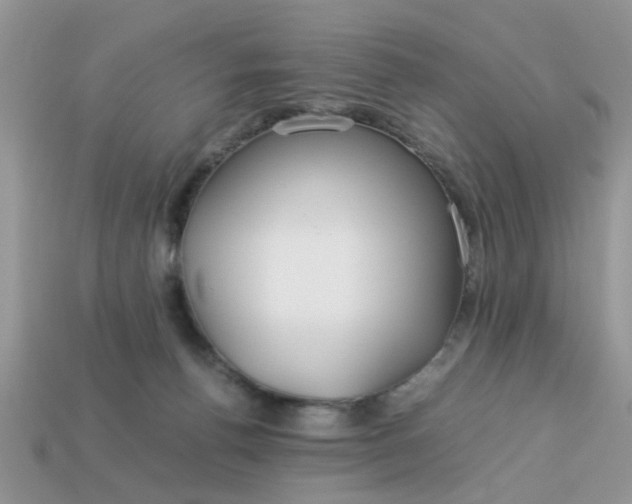 X0000113040176200909101926