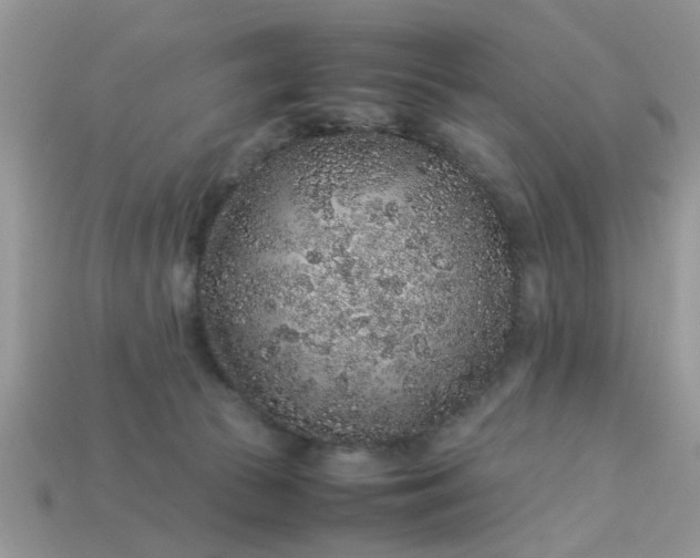 X0000113040177200909101926