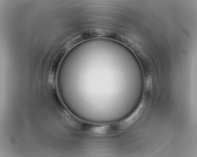 X0000113040178200909101926