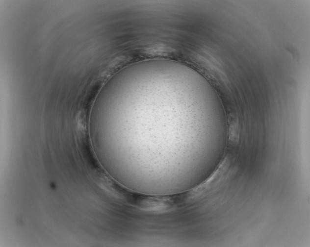 X0000113040179200909101926