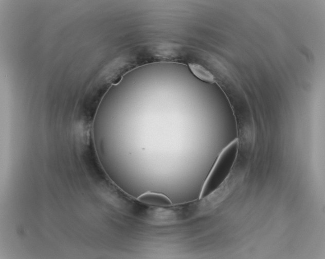 X0000113040180200909101926