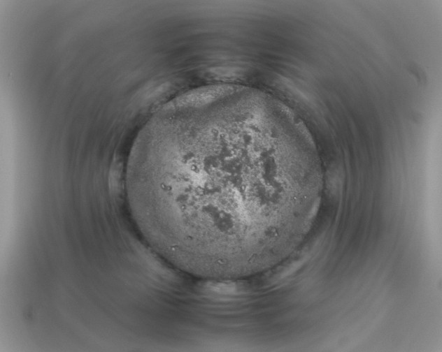 X0000113040181200909101926