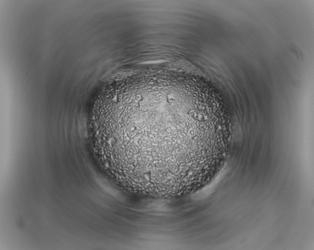 X0000113040182200909101926