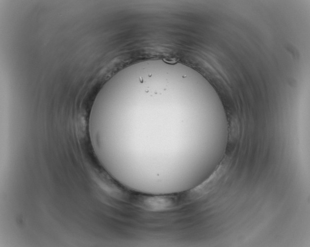 X0000113040183200909101926