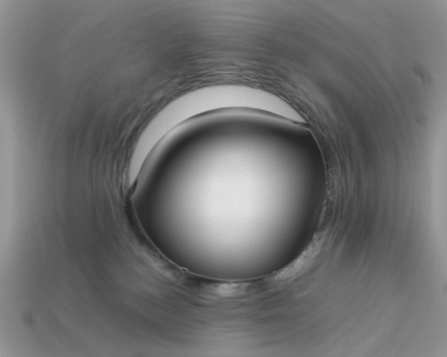 X0000113040184200909101926