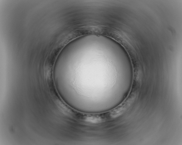 X0000113040185200909101926