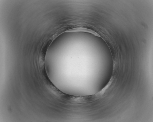 X0000113040186200909101926