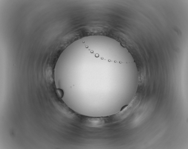 X0000113040187200909101926