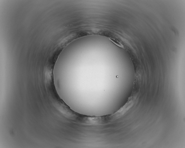 X0000113040188200909101926