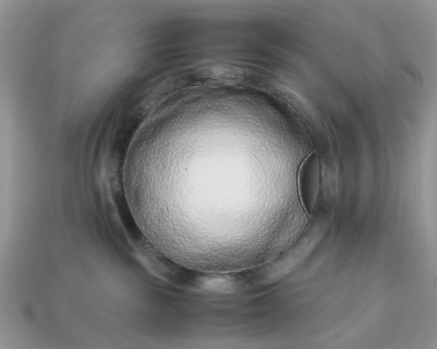X0000113040189200909101926