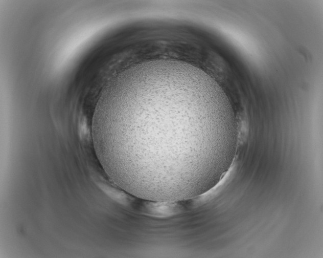 X0000113040191200909101926