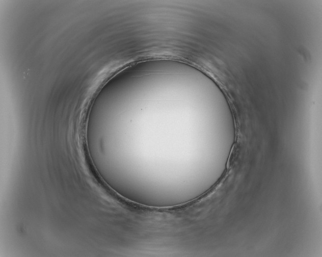 X0000113040193200909101925