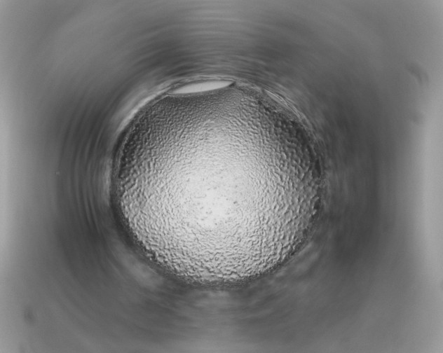 X0000113040194200909101925