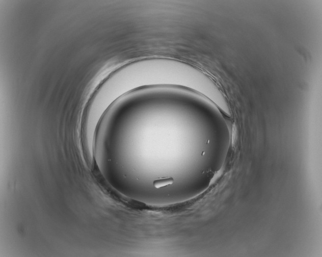 X0000113040195200909101925