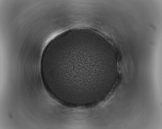 X0000113040196200909101925