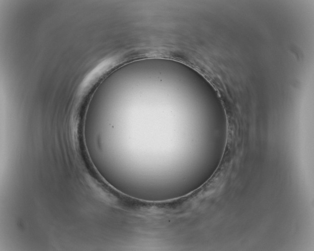 X0000113040197200909101925