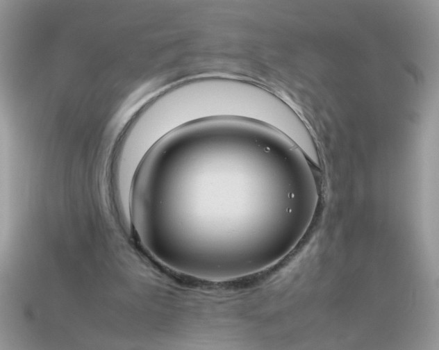 X0000113040199200909101925