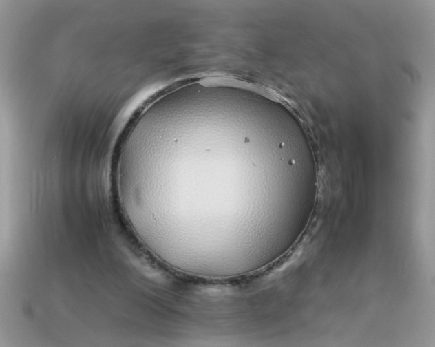 X0000113040200200909101925
