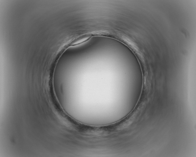 X0000113040201200909101925