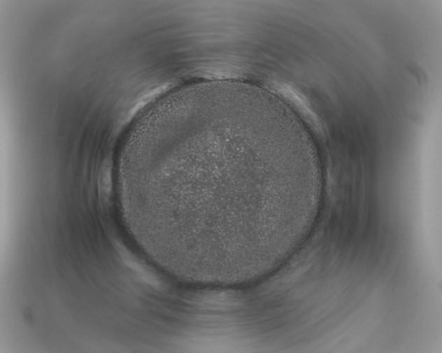 X0000113040202200909101925