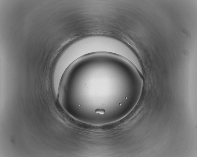 X0000113040203200909101925