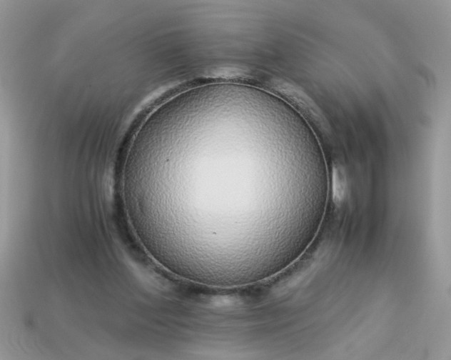 X0000113040204200909101925